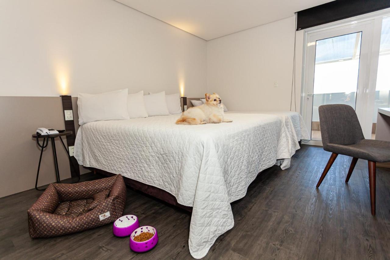Travel Inn Hotels Κασίας ντο Σουλ Εξωτερικό φωτογραφία